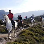 Ξενοδοχείο Peninsular